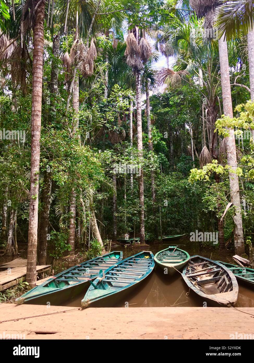 Barche in giungla peruviana. Foto Stock
