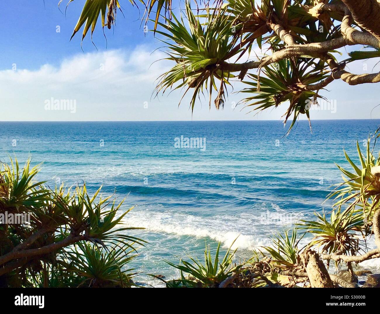 Burleigh Heads Foto Stock