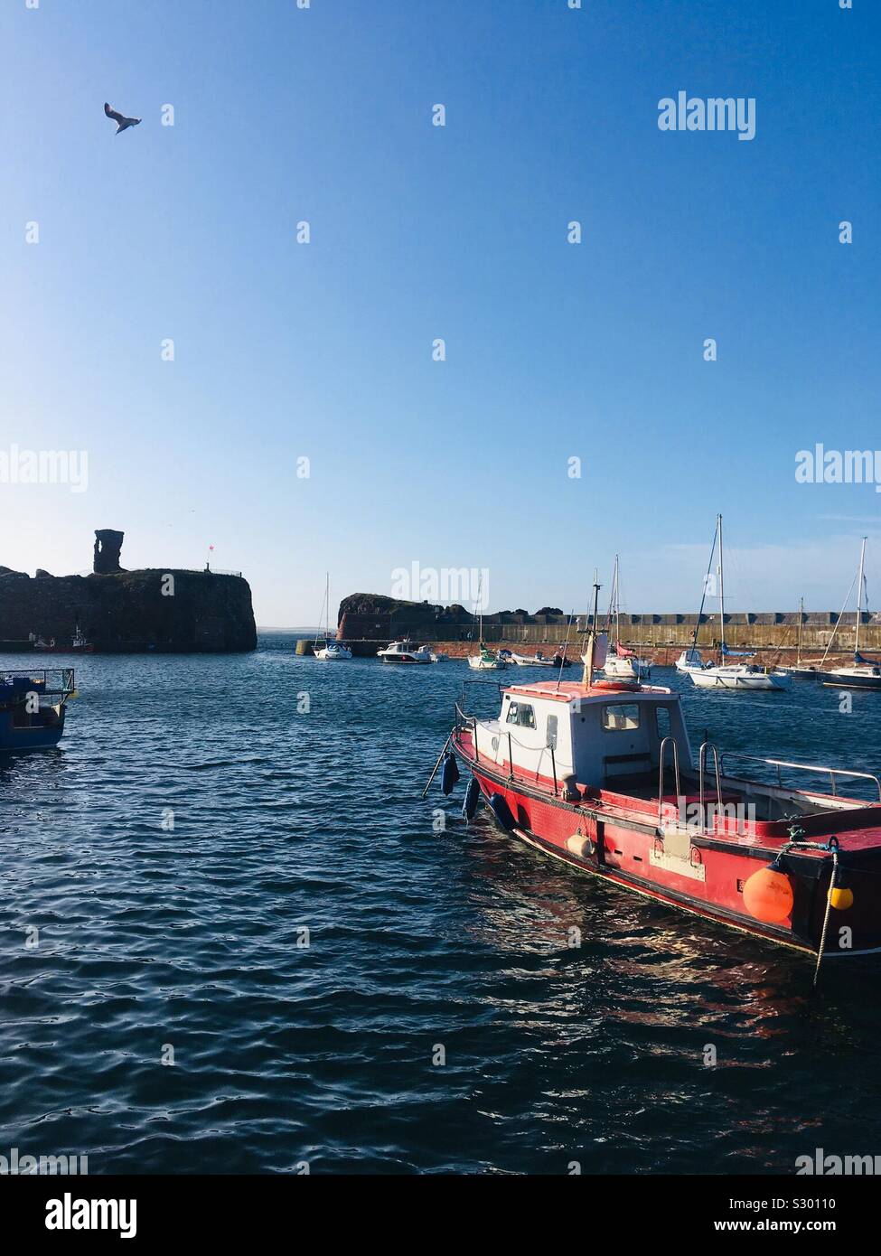 Barca da pesca a Dunbar Harbor, Scozia Foto Stock