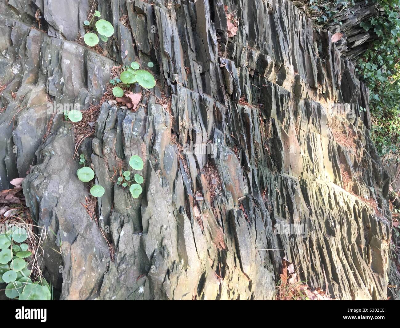 L'ardesia di roccia su una montagna di Gallese Foto Stock