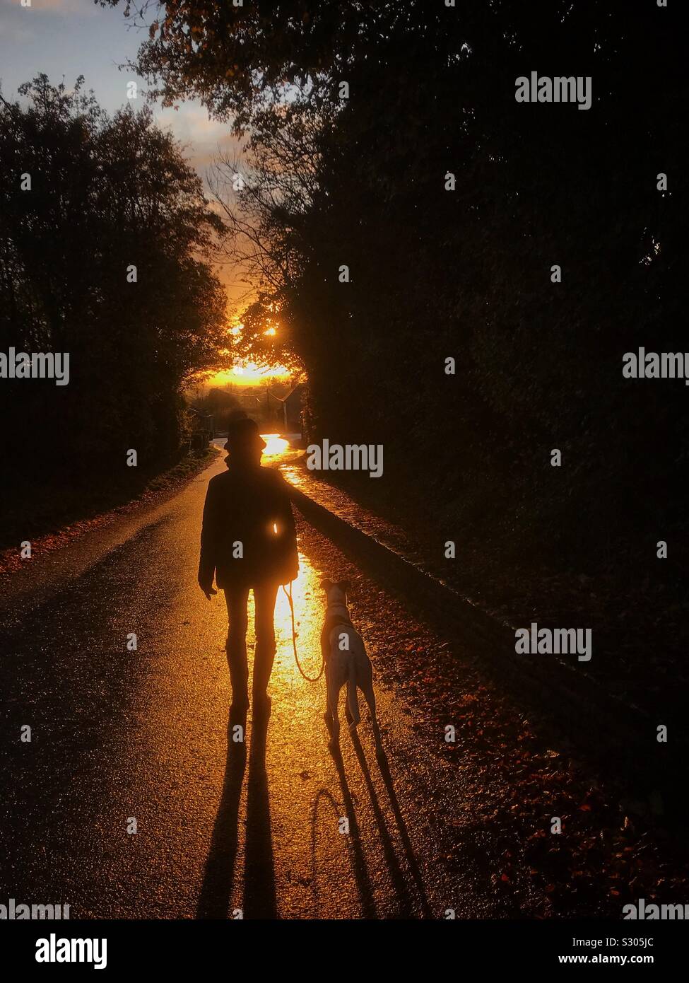 La donna e il cane al tramonto Foto Stock