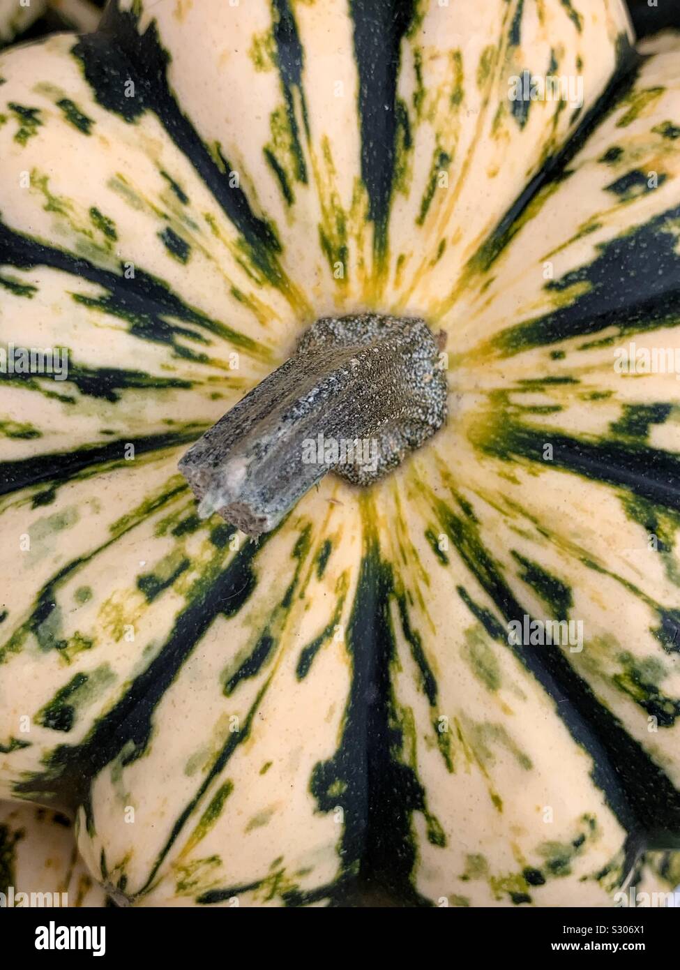 Closeup gnocco dolce zucche invernali Foto Stock