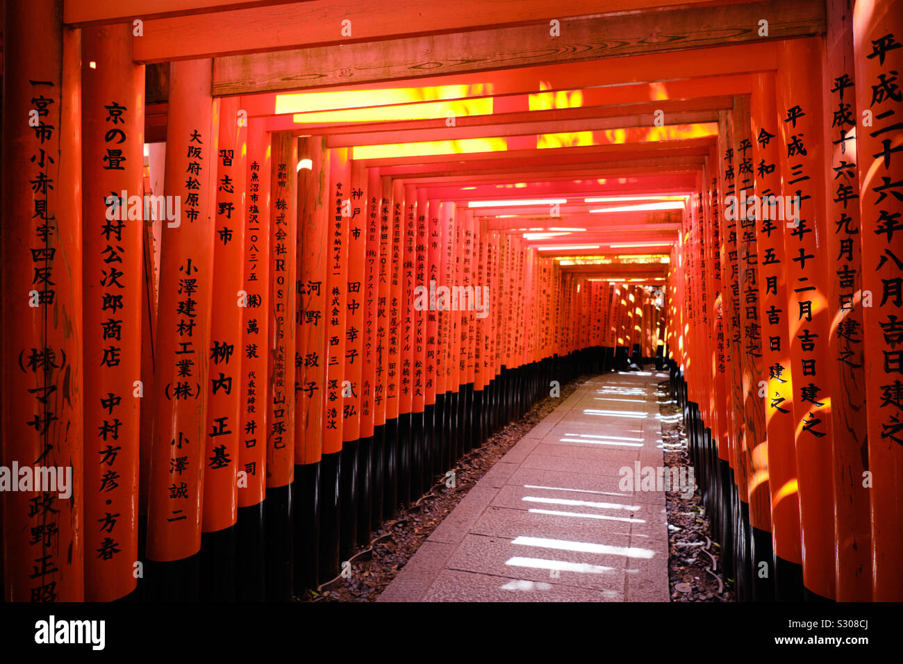 Rosso vermiglio Torii gates a Fushimi Inari santuario a Kyoto, Giappone Foto Stock