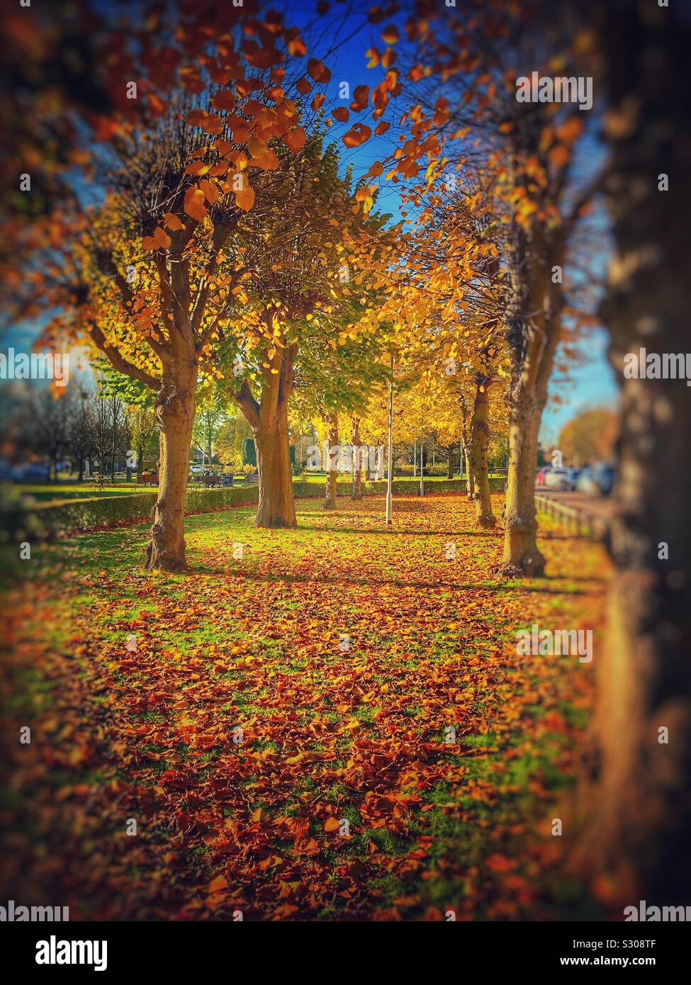 Giorno di autunno - Immagine stock catturata con smartphone