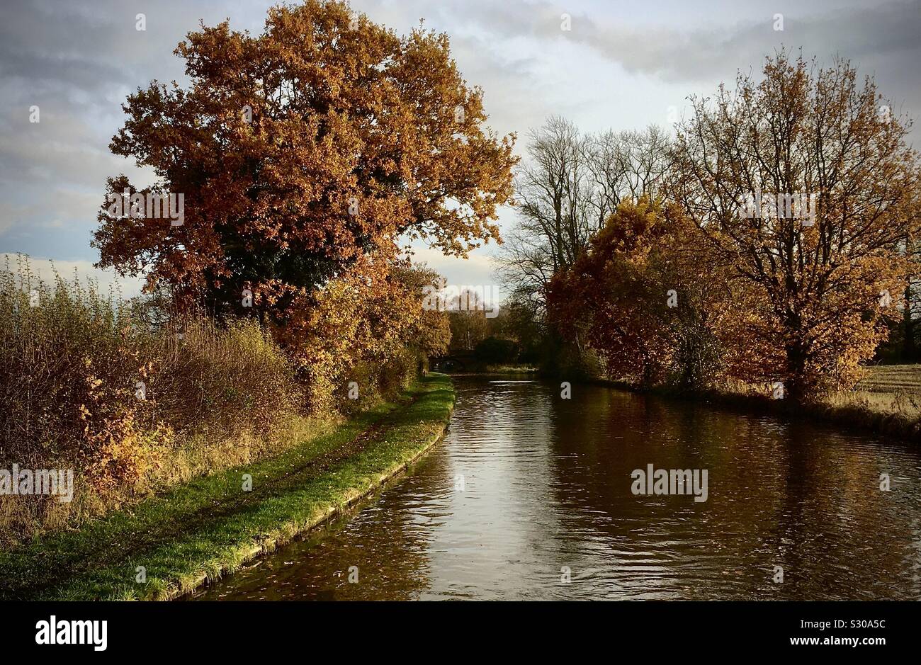 Vista lungo un canale che mostra i colori dell'autunno di alberi e di riflesso in acqua - Immagine stock catturata con smartphone