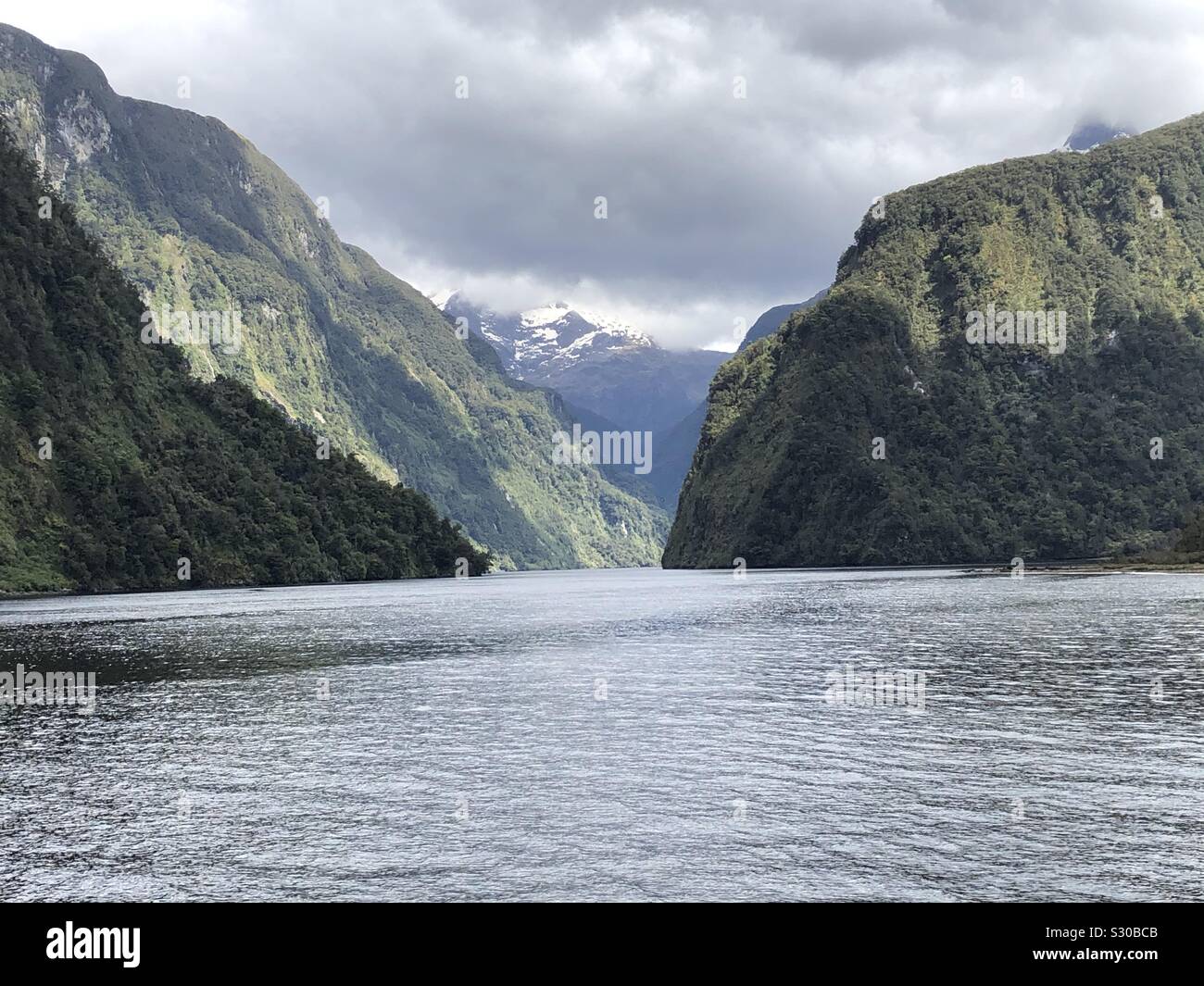 All'interno di Doubtful Sound - Immagine stock catturata con smartphone