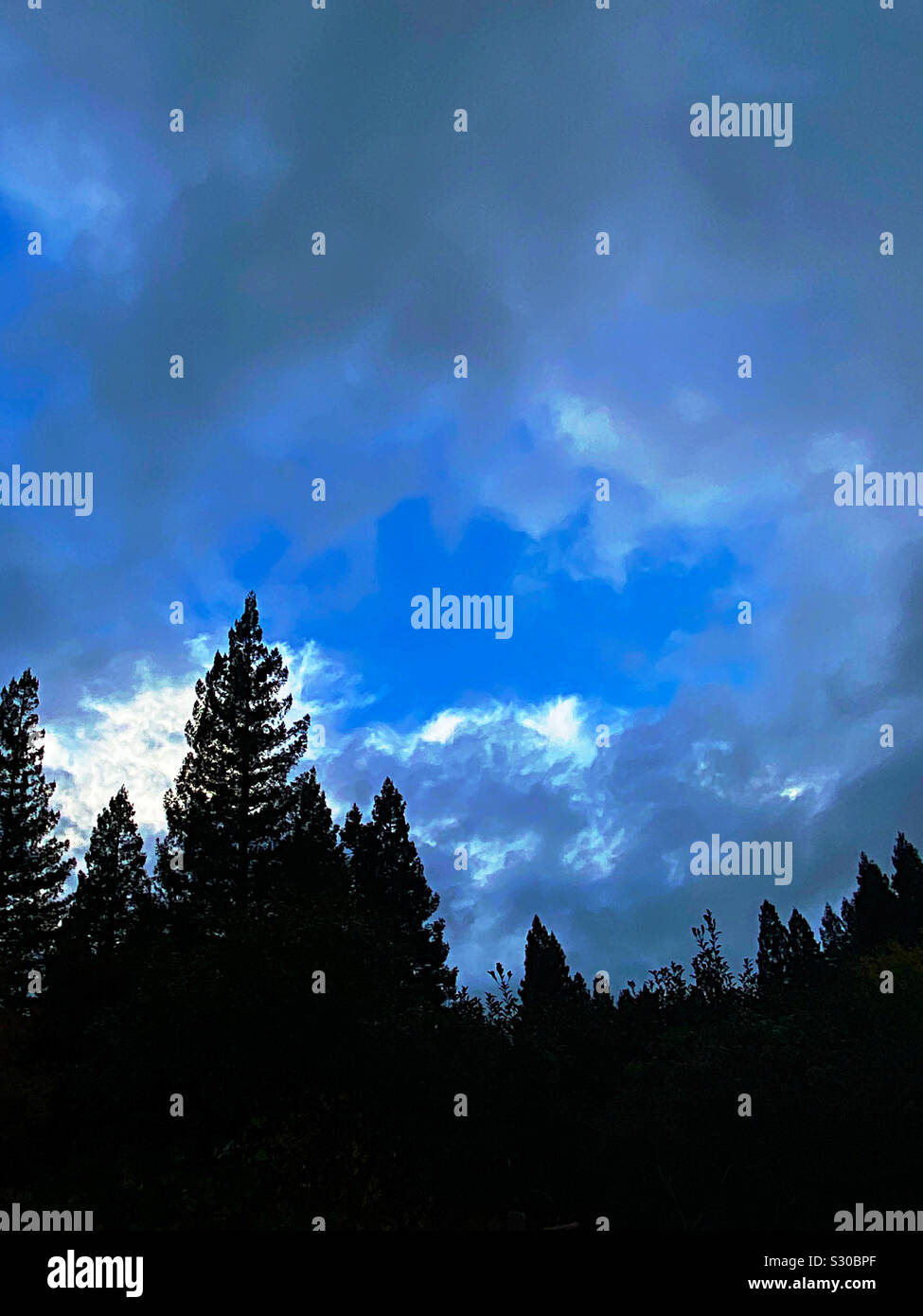Finestra attraverso le nuvole in cielo blu, oltre redwoods Foto Stock