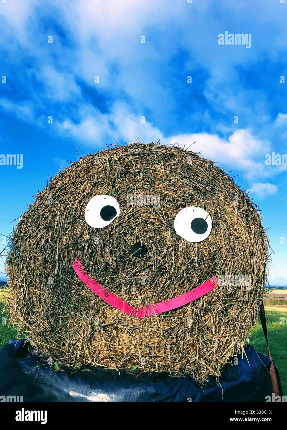 Faccia felice fatta da una balla di paglia, England, Regno Unito Foto Stock