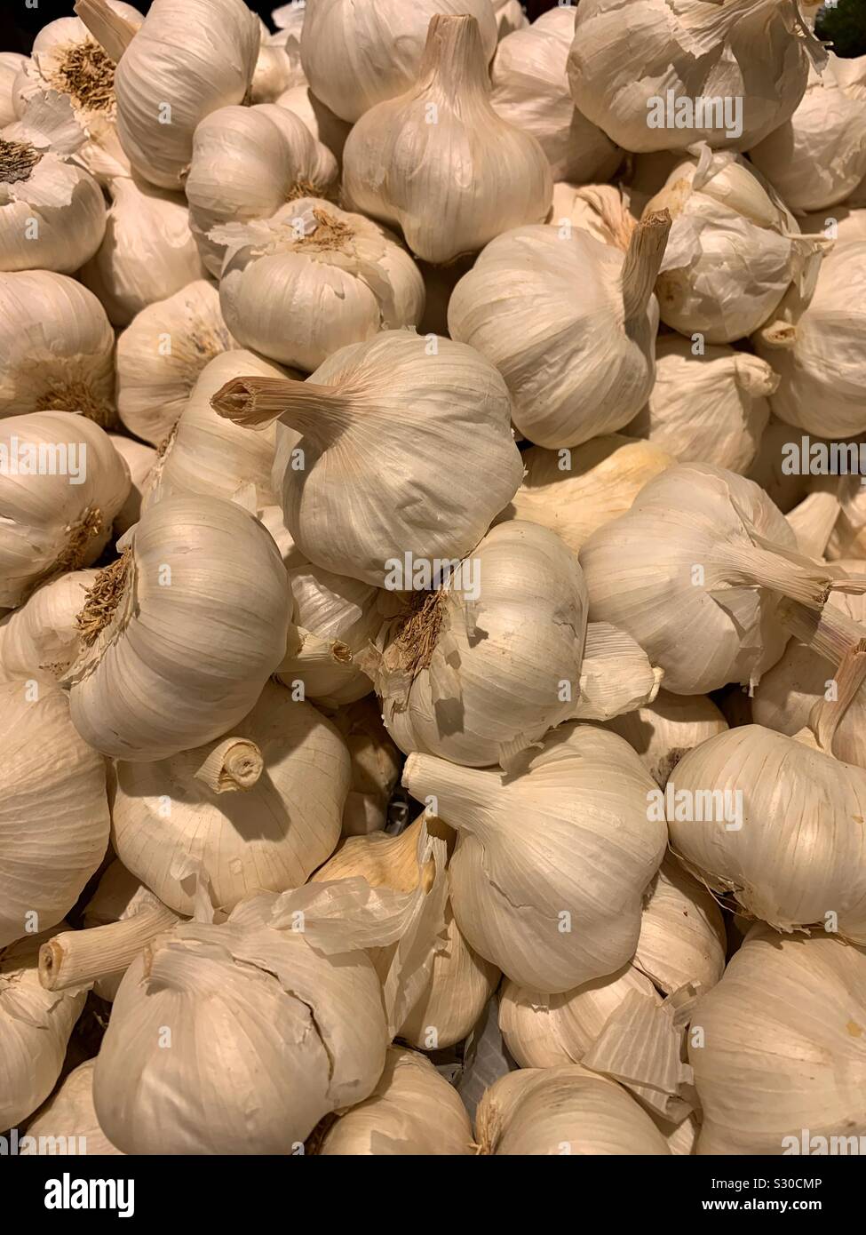 Fattoria fresco bulbi di aglio Foto Stock