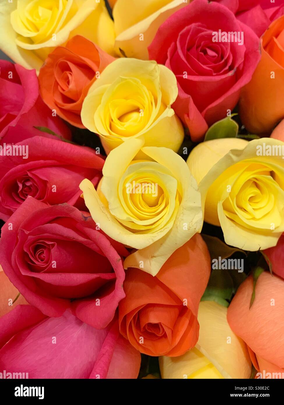 Bel bouquet di fresco rosa gialla e arancione rose Foto Stock