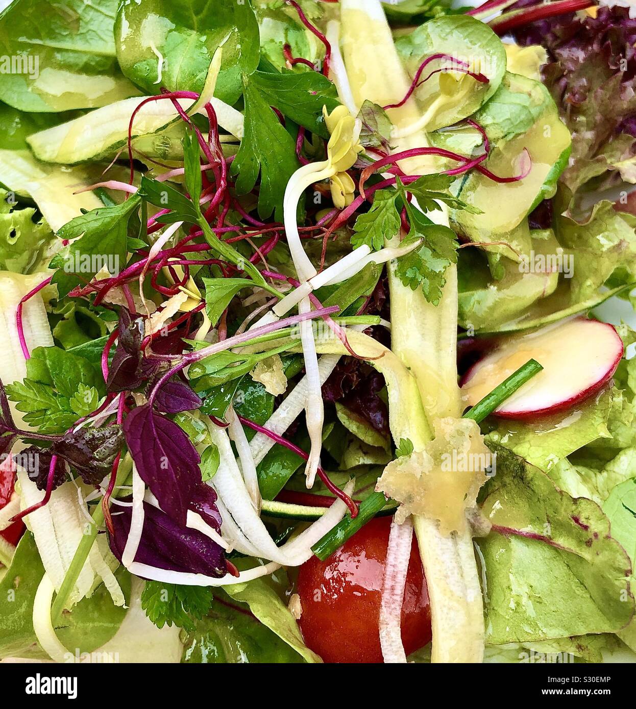 Verdura fresca insalata, Vienna, Austria. - Immagine stock catturata con smartphone