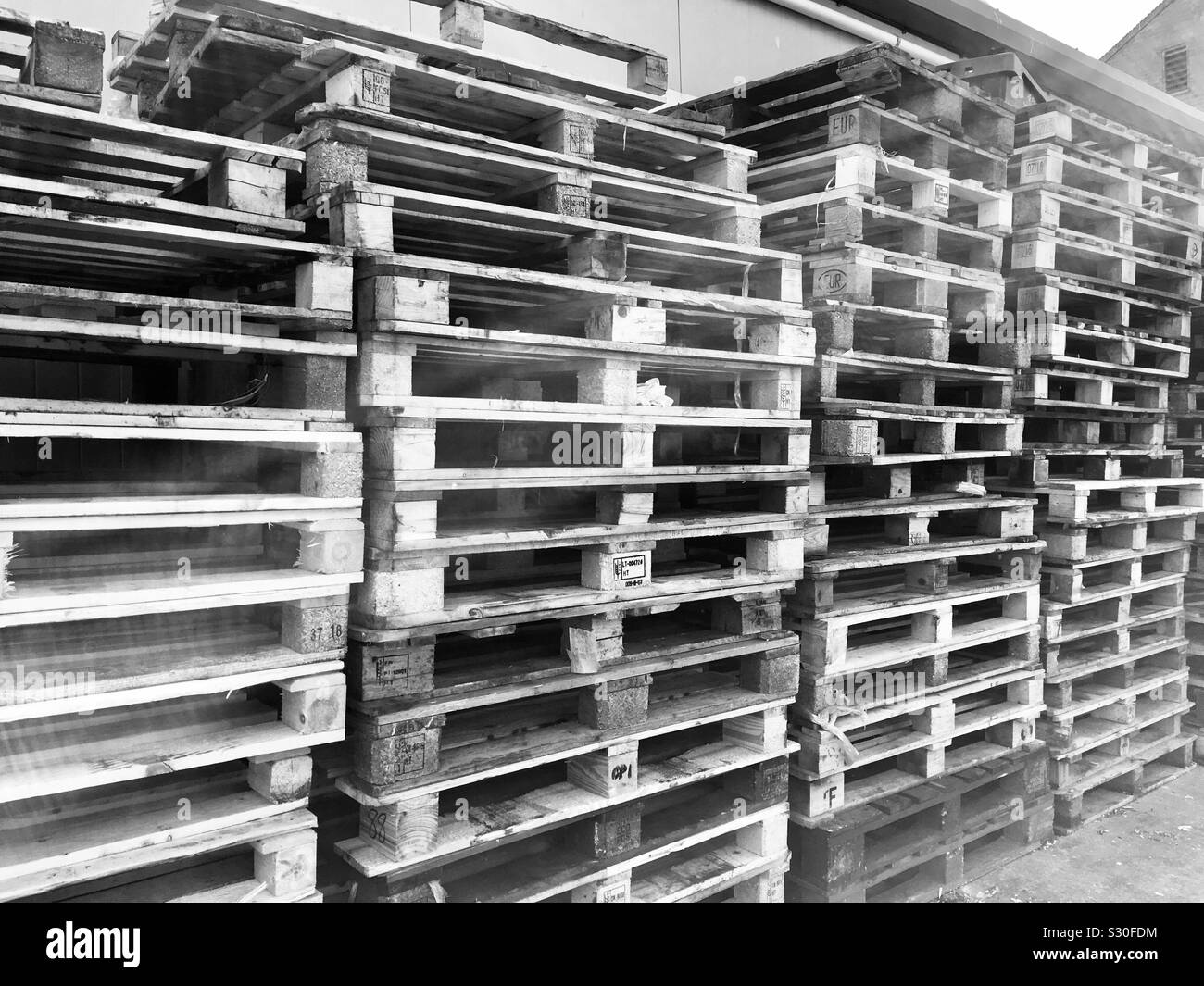 I pallet in legno impilate in alte pile Foto Stock
