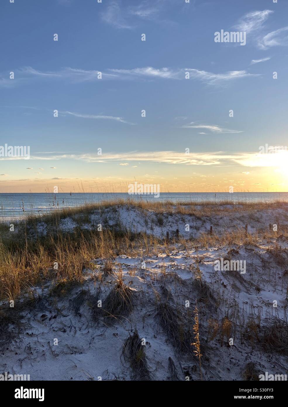 Tramonto sulla spiaggia con il sole che splende sulle bianche dune di sabbia erba in Florida Foto Stock