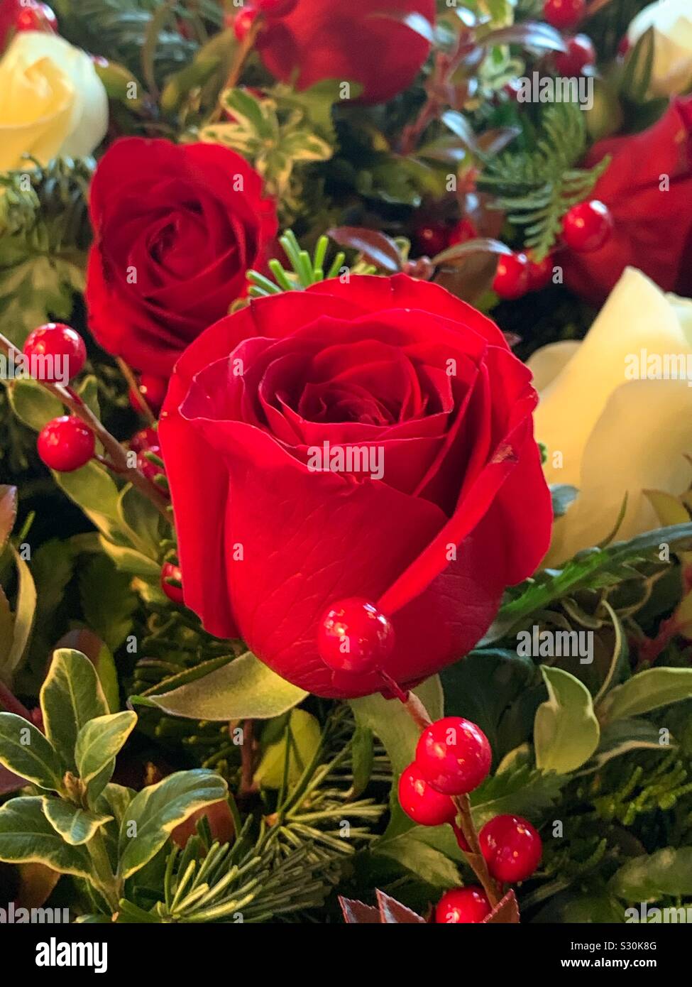Un perfetto red rose si stabilirono in una presentazione bouquet riempita con altre rose bianche e rosse e bacche di vischio Foto Stock