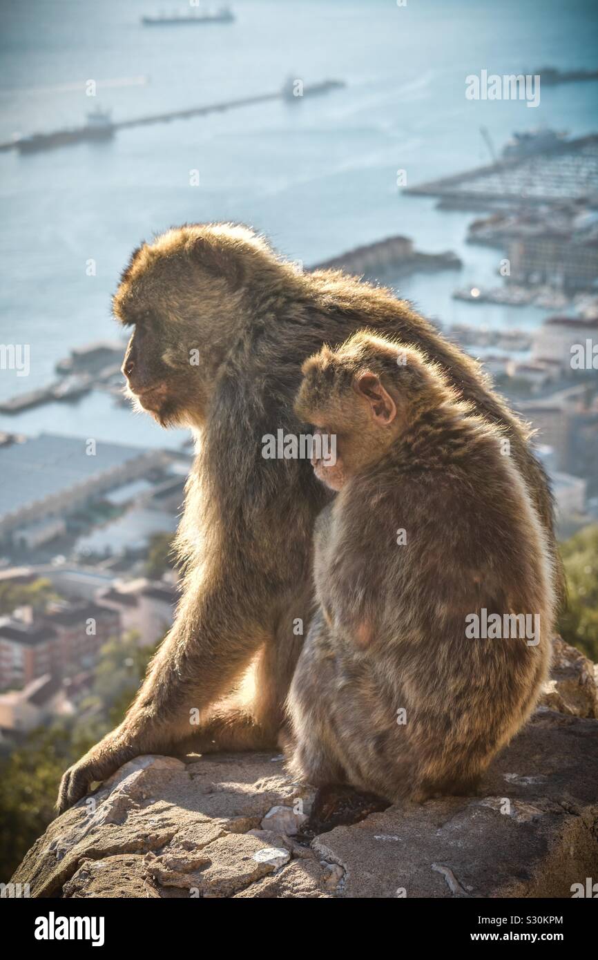 Madre di un bambino Foto Stock