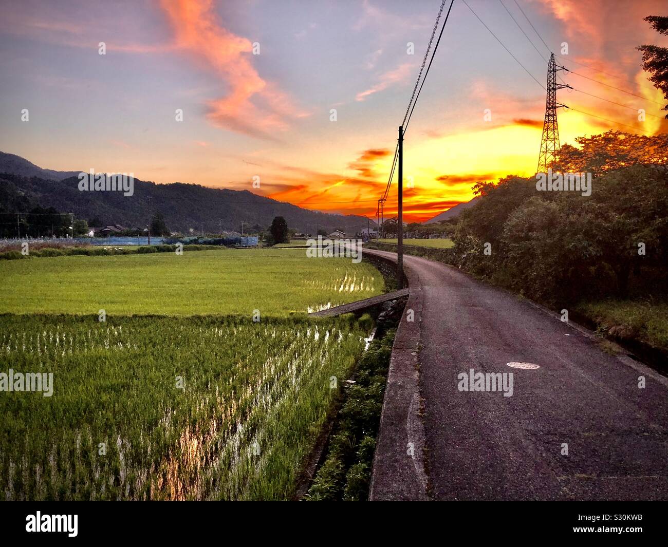 Sunset, campi di riso e strada di campagna nelle zone rurali Tottori, Giappone Foto Stock