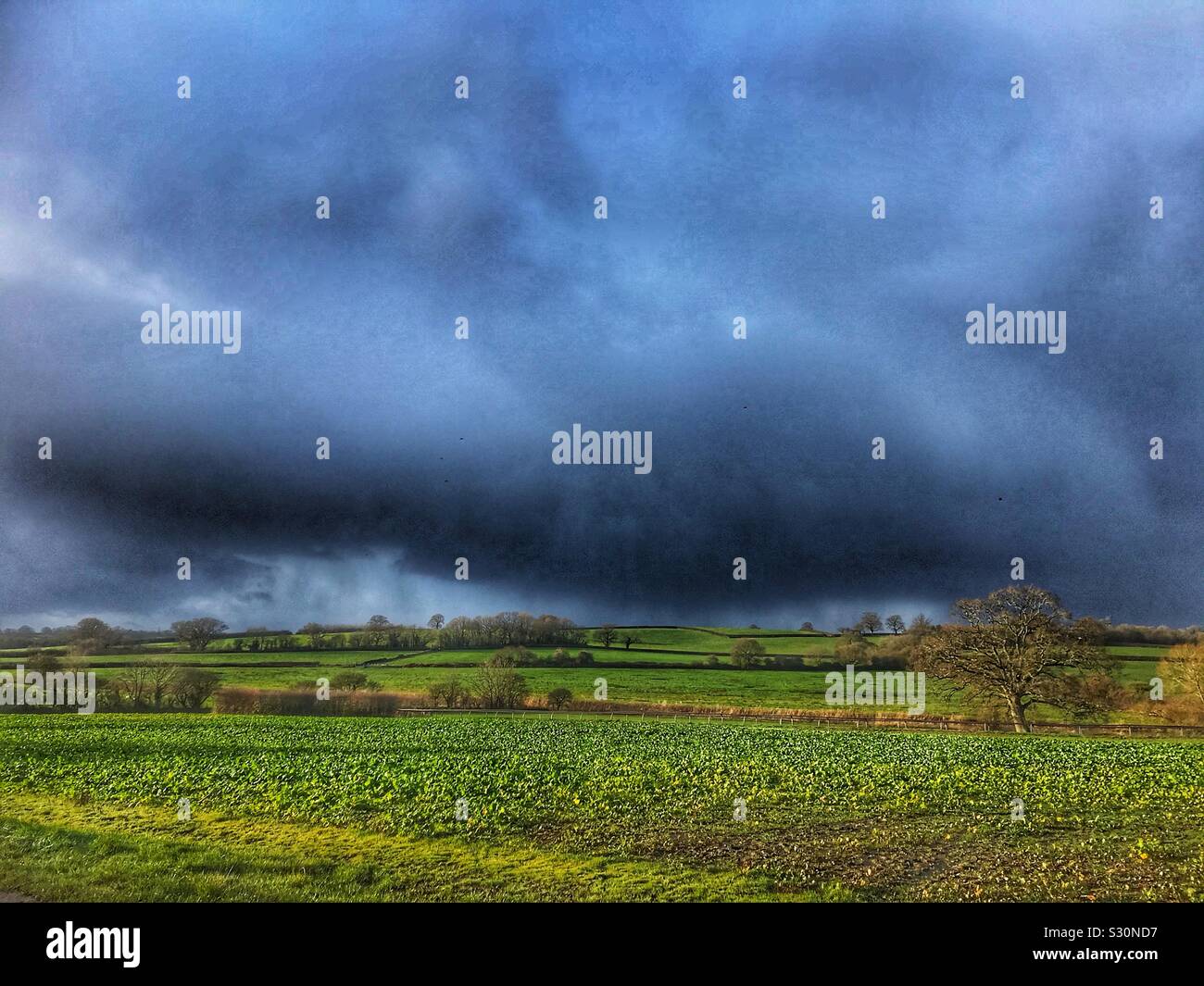 Cielo tempestoso su terreni agricoli - Immagine stock catturata con smartphone