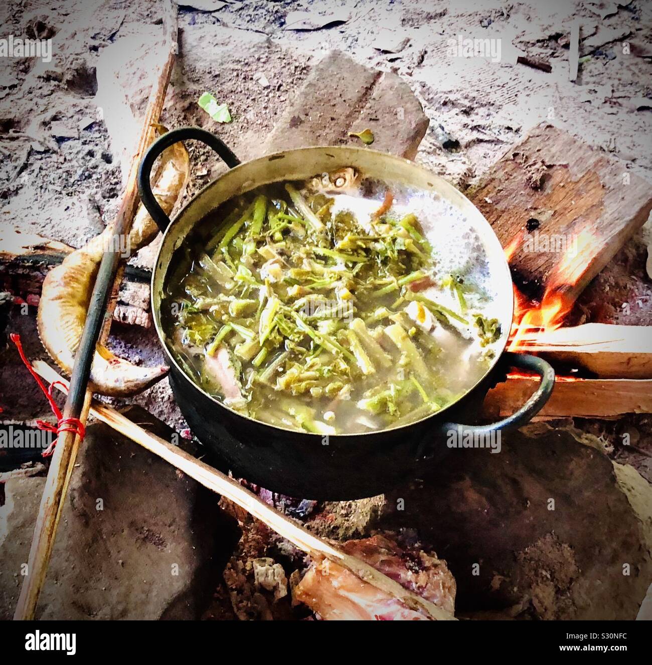 Cucina Outdoor: minestra di verdura di pentola e grigliate di pesce su un fite Foto Stock