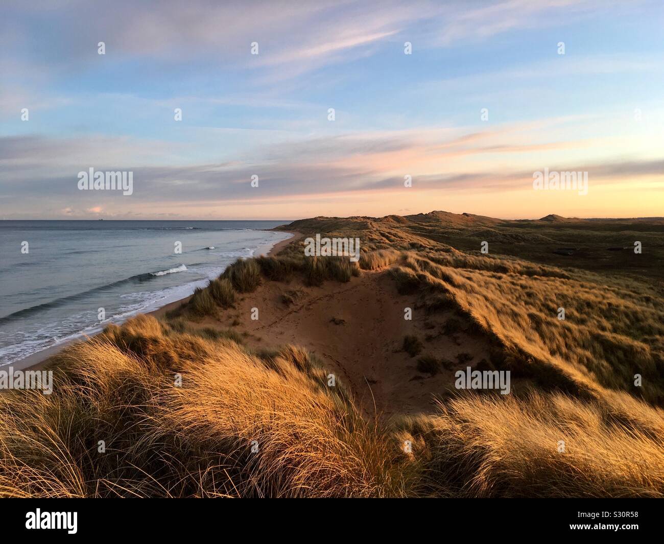 Golden pomeriggio luce sulle dune di sabbia a St Fergus, Aberdeenshire, a nord est della Scozia Foto Stock