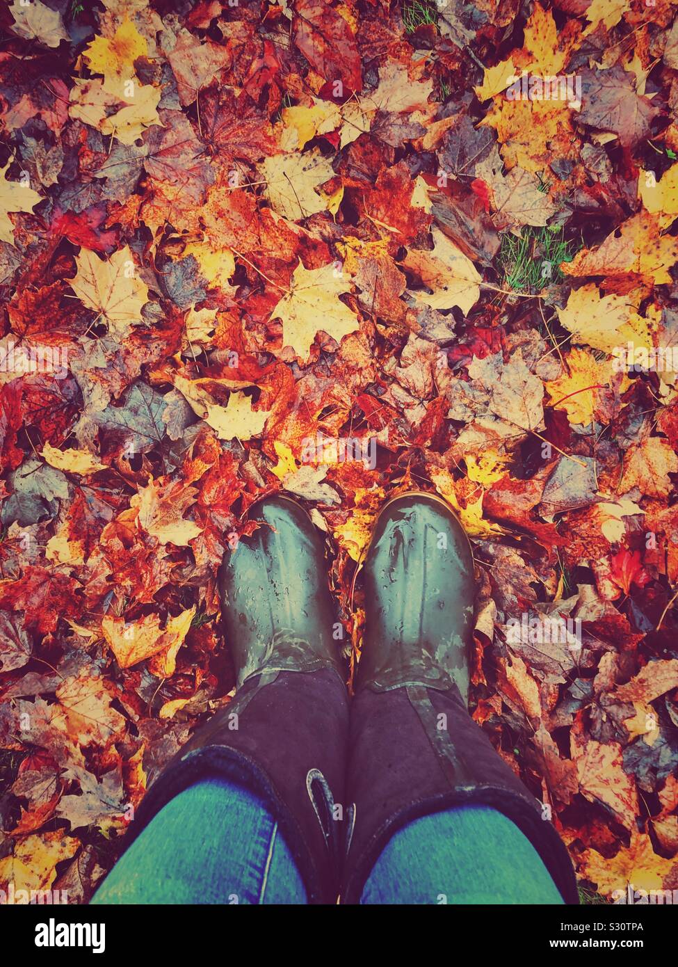 Punto di vista immagine in prospettiva di persona che guarda wet stivali di gomma in wet Foglie di autunno Foto Stock