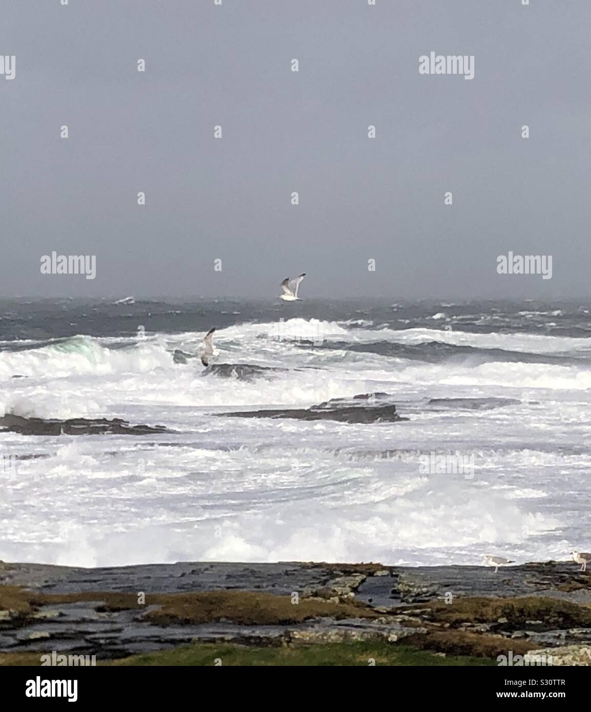 Sul parafango in un oceano storm - Immagine stock catturata con smartphone