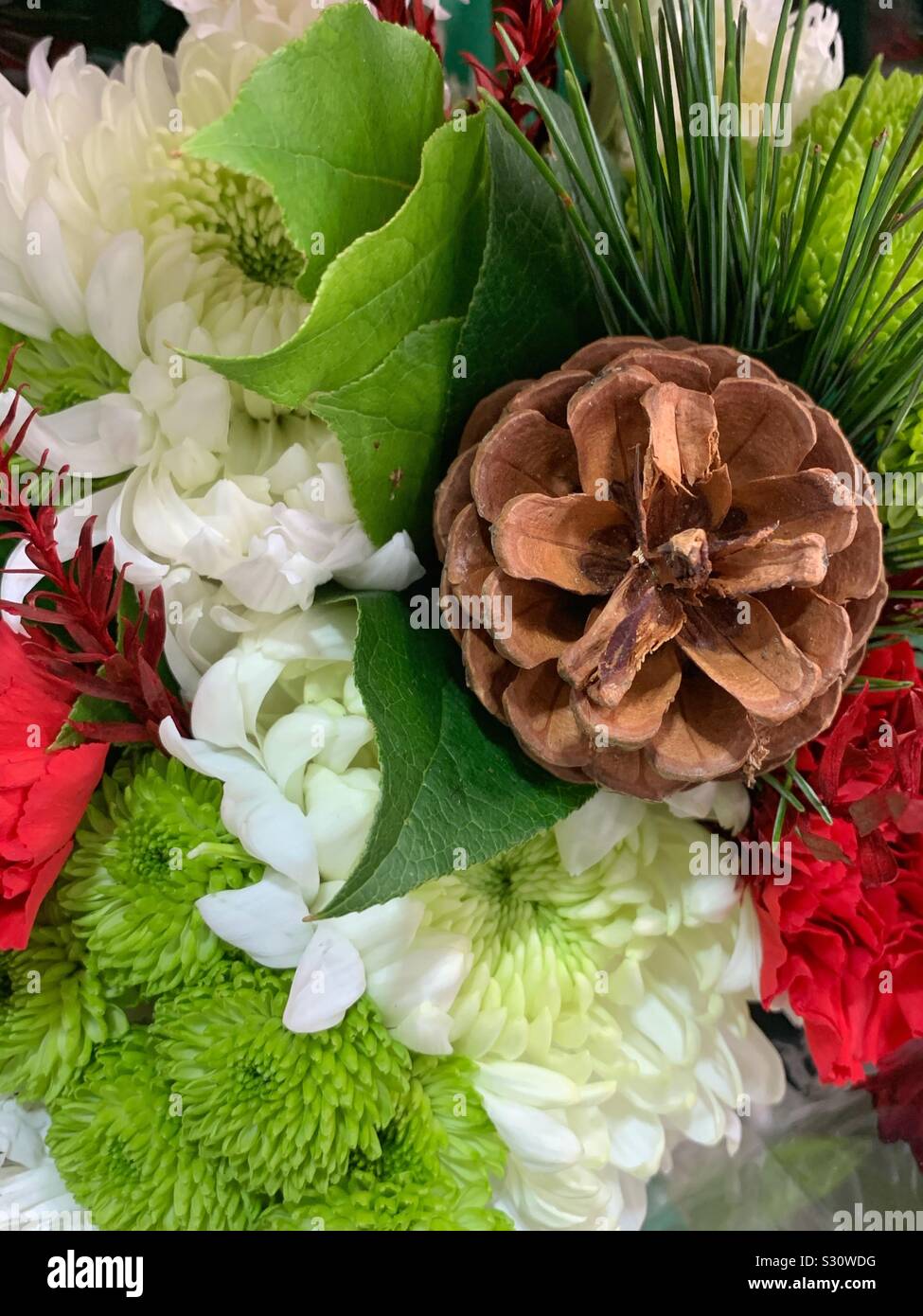 Allegro il rosso, il verde e i fiori bianchi in un bouquet di fiori con una pigna Foto Stock