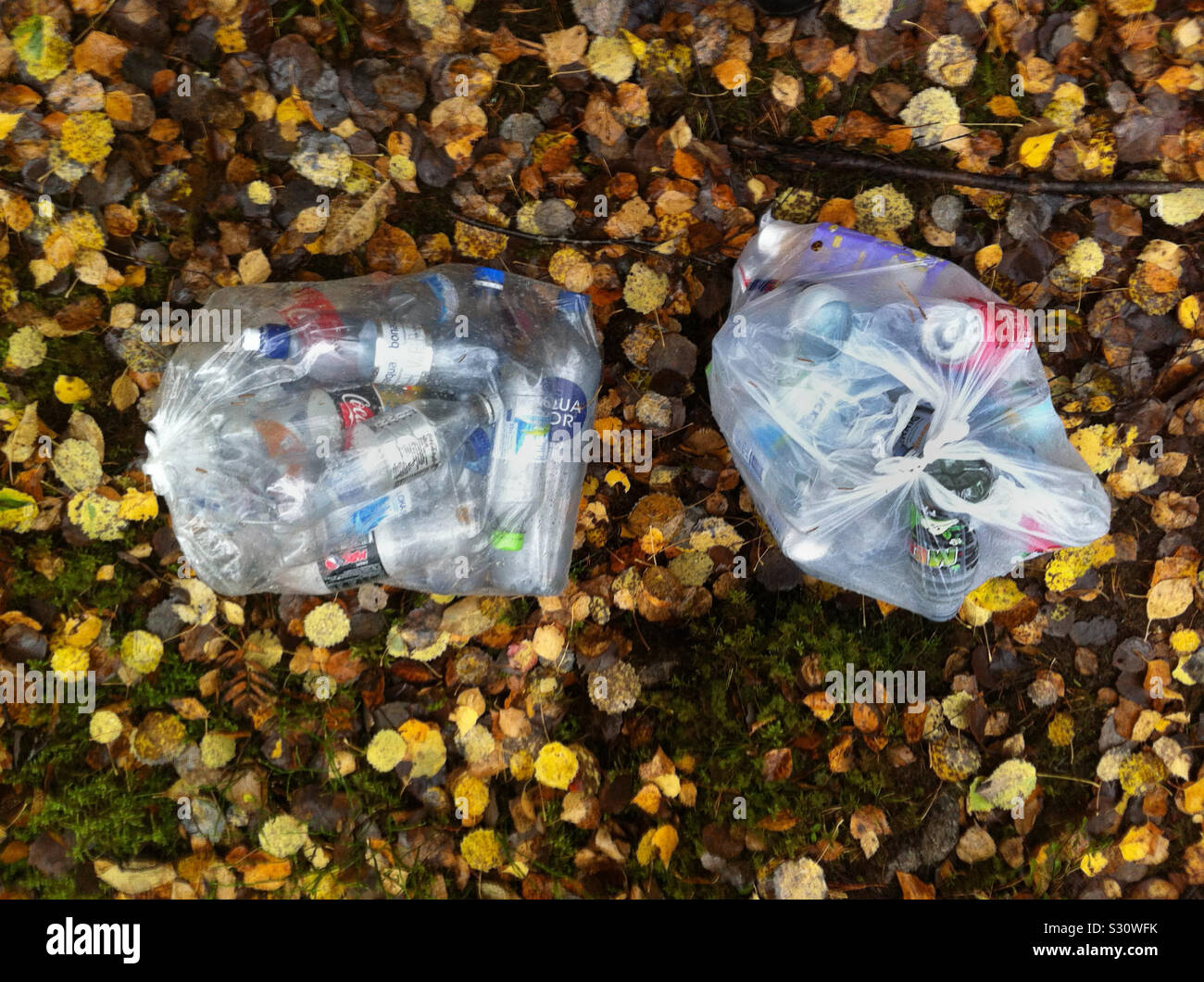 Due grandi sacchi pieni di plastica le bottiglie in PET e lattine di alluminio da riciclare, circondato da foresta rurale con fogliame di autunno sul terreno. Stoccolma, Svezia Foto Stock