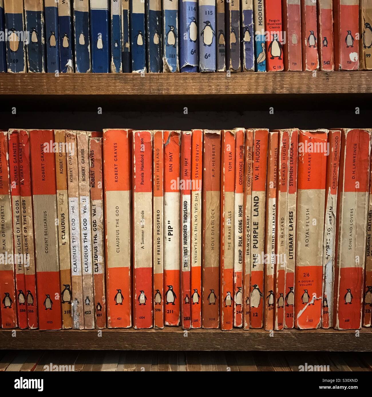 Libri in versione cartacea vintage dei pinguini su una libreria di seconda mano Foto Stock