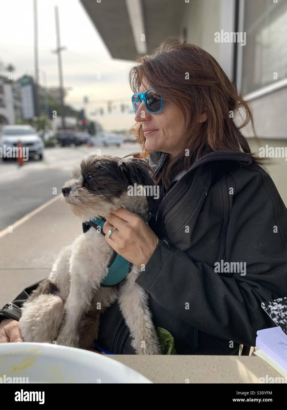 Little dog sitter su donna proprietario giro presso la caffetteria Foto Stock