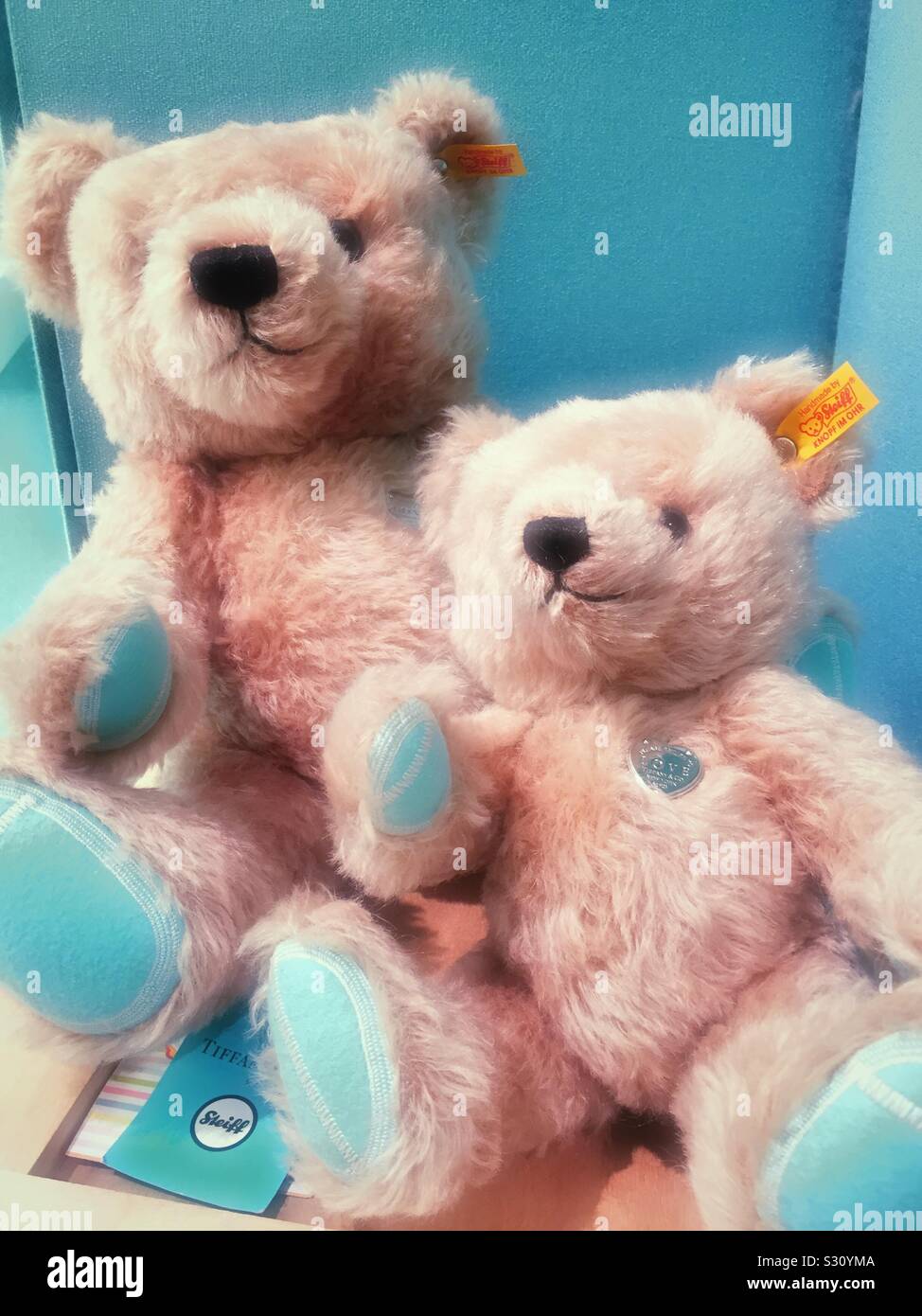 Tiffany's & Co. Presenta Steve Bears ripieni di zampe blu d'uovo robin, NYC, USA - Immagine stock catturata con smartphone