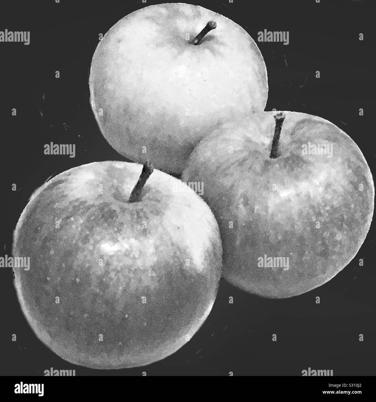 Tre mele in bianco e nero Foto Stock