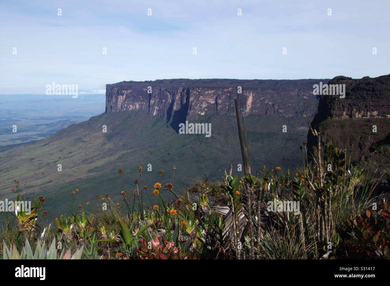 Il monte Roraima, un altopiano tepui mountain, Venezuela, Sud America, l'ispirazione per Sir Arthur Conan Doyle prenota il Mondo Perduto Foto Stock