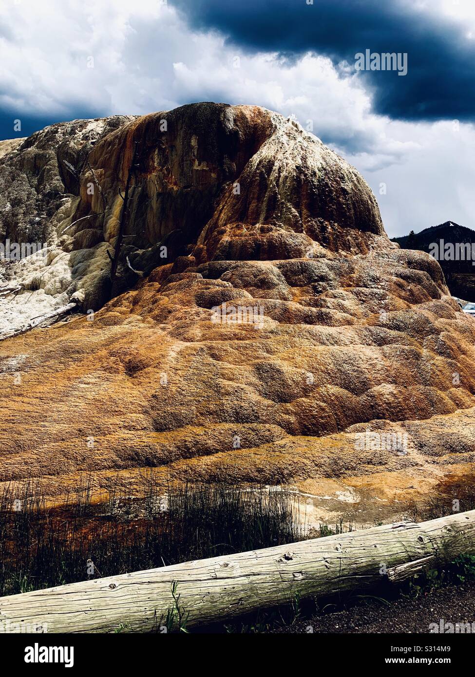 Mammoth Hot Springs, il Parco Nazionale di Yellowstone Foto Stock