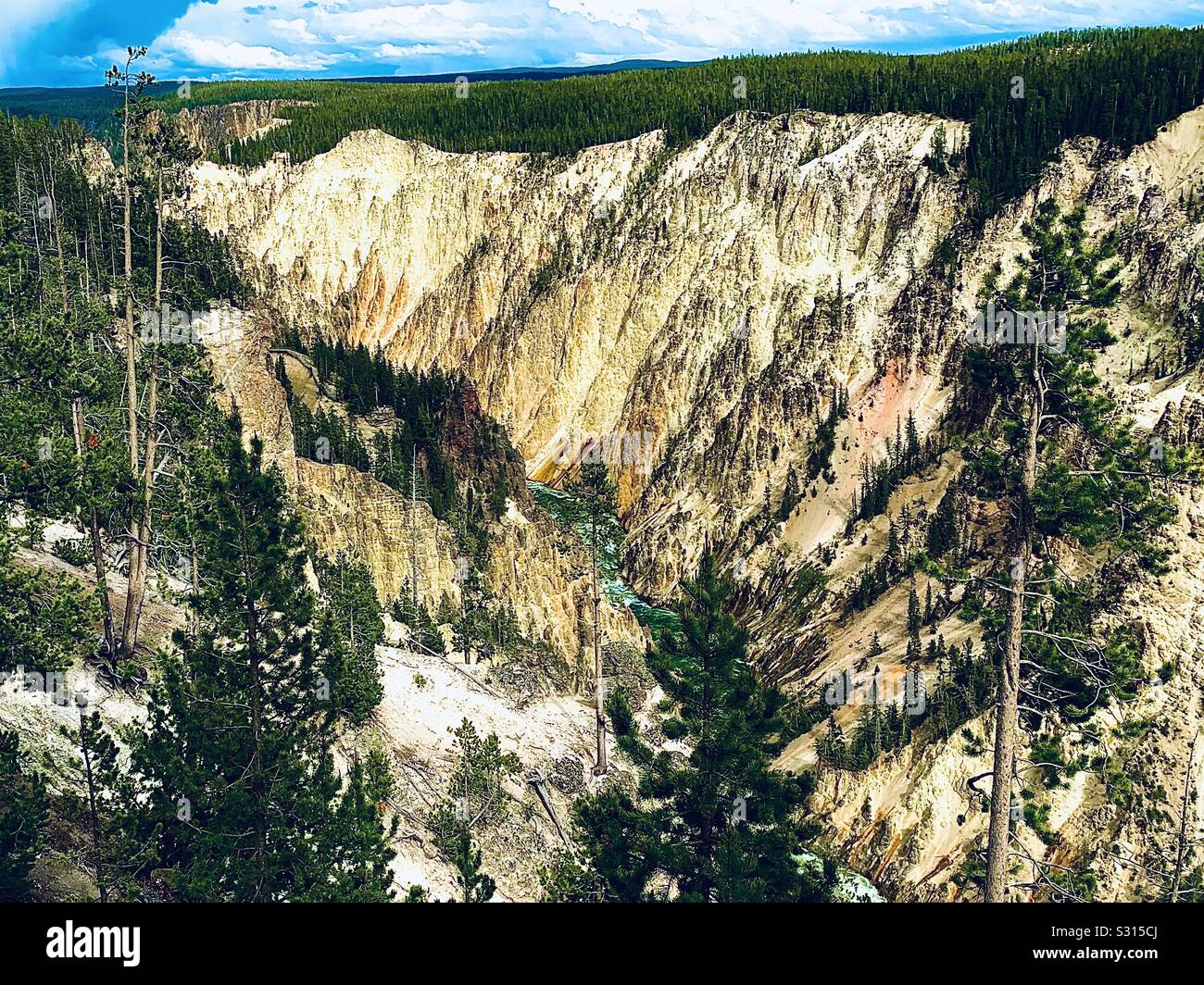Canyon di Yellowstone Foto Stock