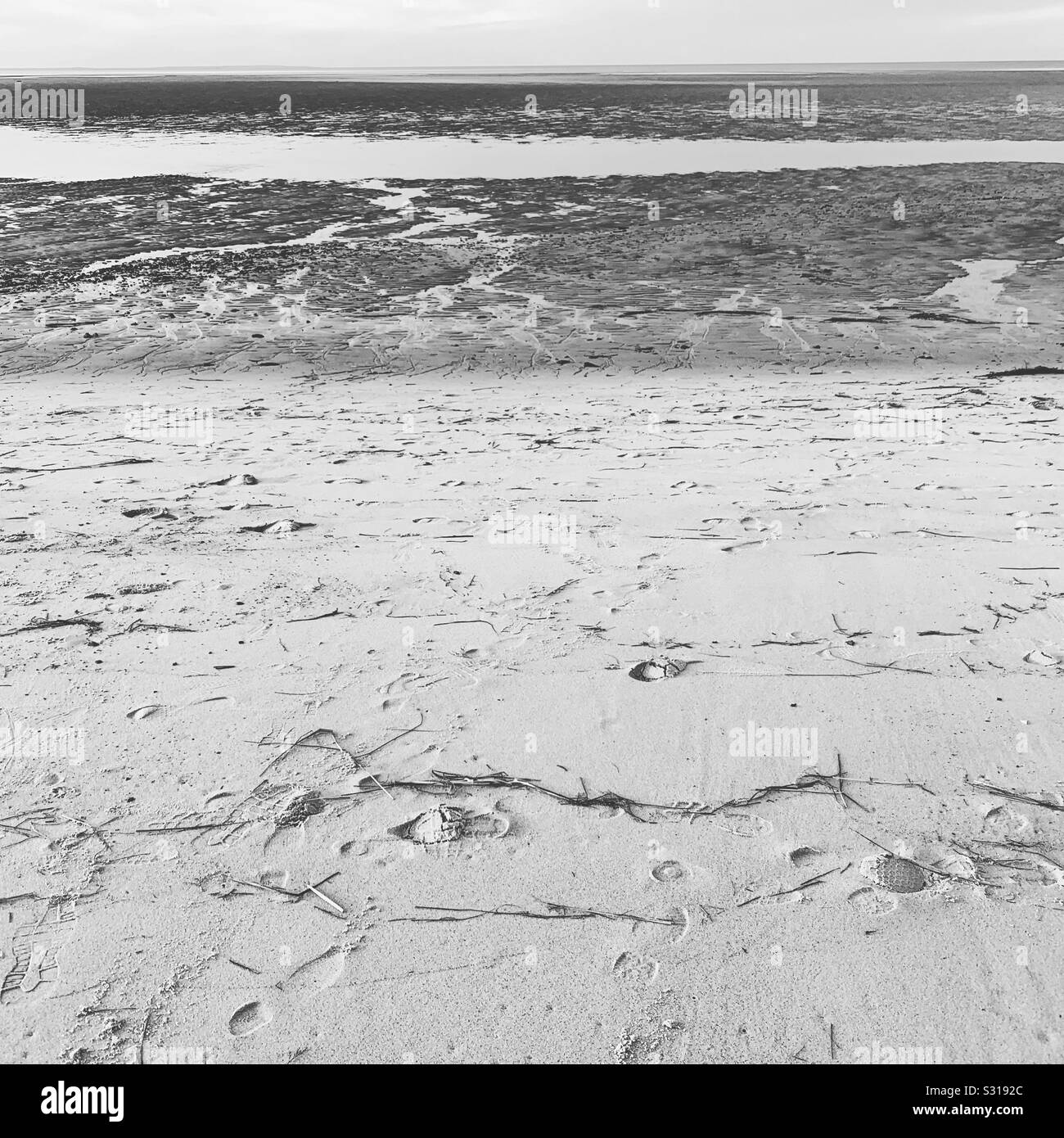 Immagine in bianco e nero di bassa marea a una spiaggia Foto Stock