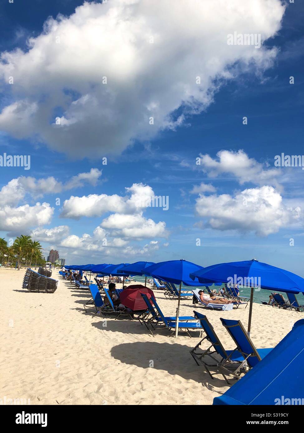 Sedie a sdraio, chaises e ombrelloni allineati lungo la spiaggia di Fort Lauderdale, Florida, Stati Uniti d'America. - Immagine stock catturata con smartphone