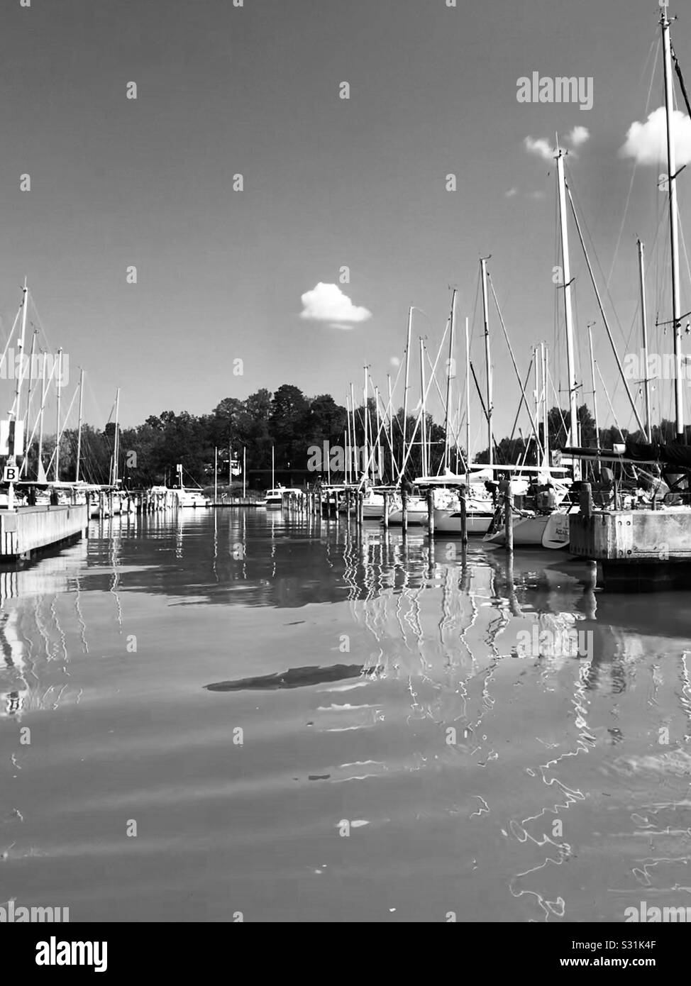 Riposante giorno in acqua Foto Stock