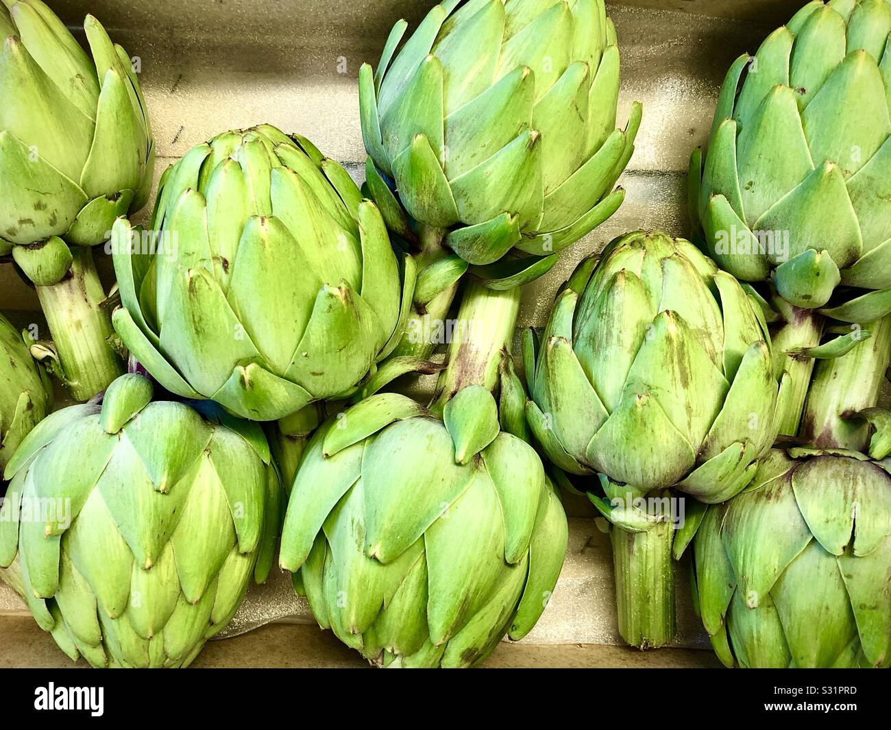 Carciofi confezionato per la vendita. Foto Stock