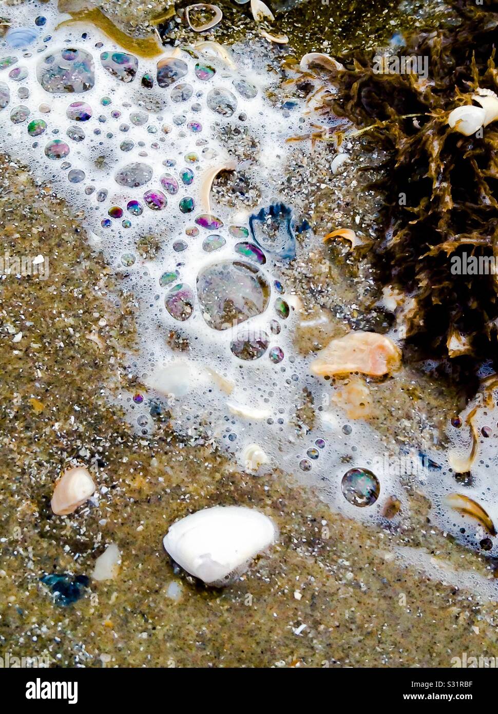 Bolle nella schiuma del mare in spiaggia Foto Stock