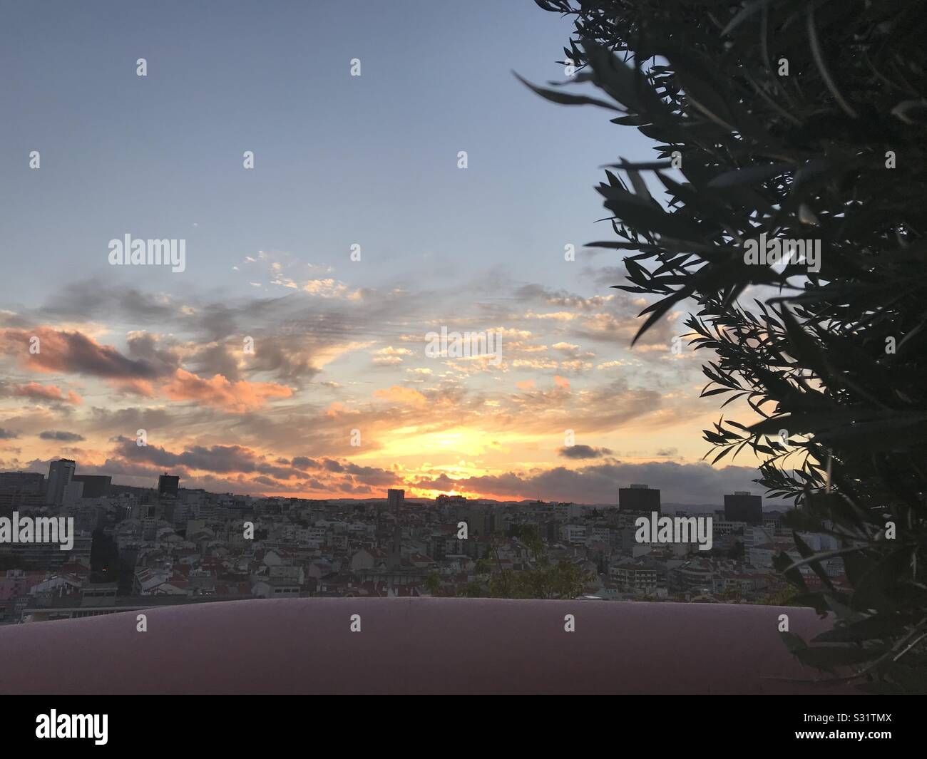 La vista del tramonto dal Miradouro da Penda de França, Lisbona con alberi di olivo Foto Stock