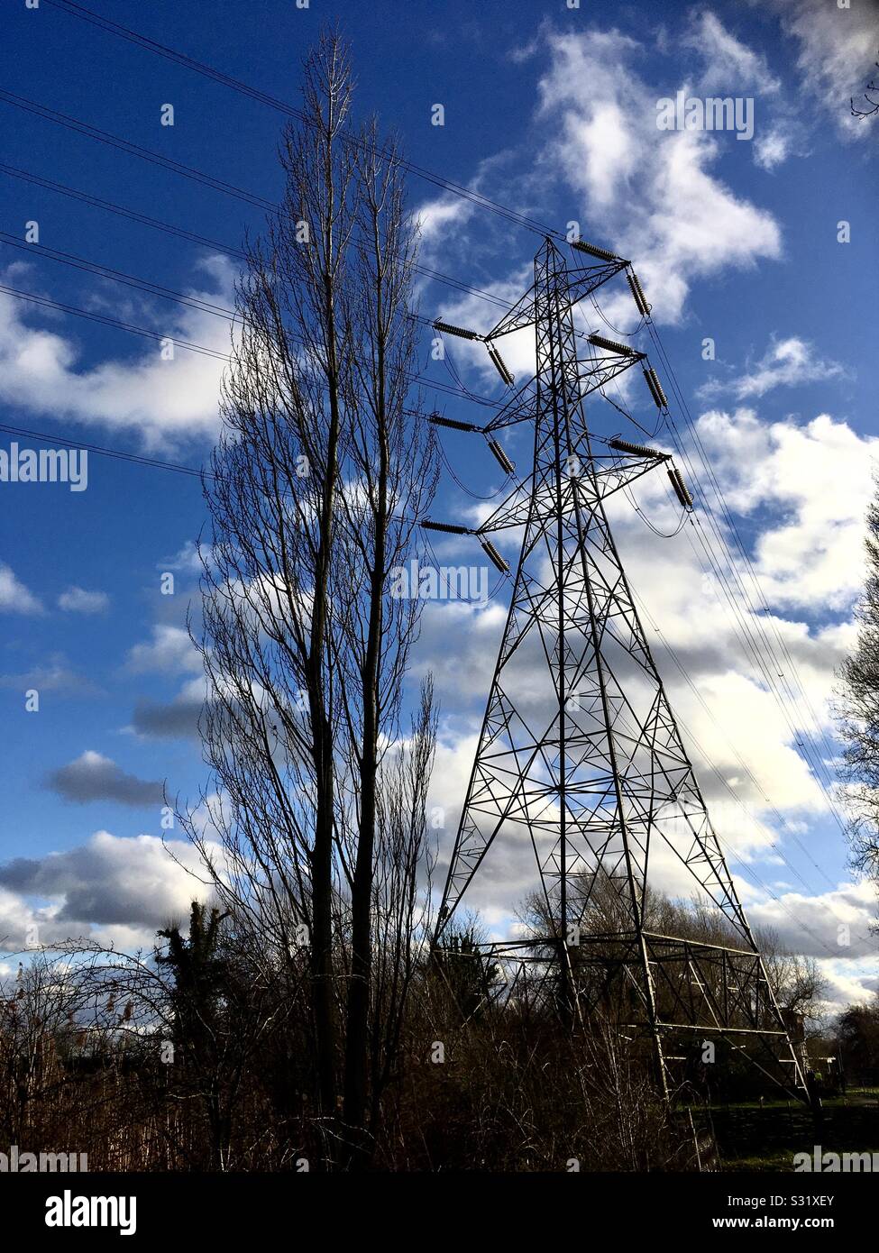 L uomo e la natura. Albero e pilone contro un blu cielo velato. Prese a Walthamstow zone umide riserva naturale. Foto Stock