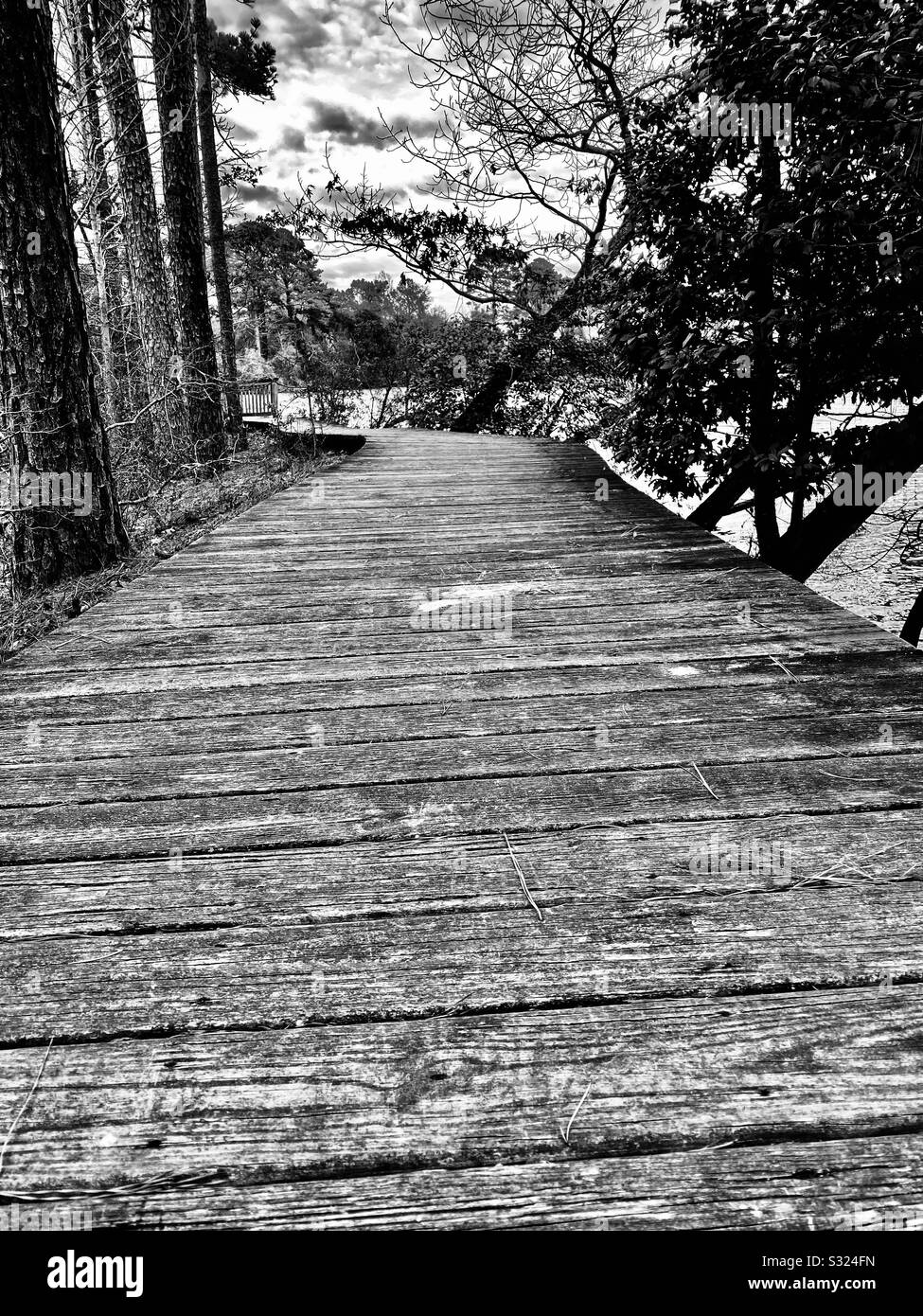 Passeggiata in riva al lago Foto Stock