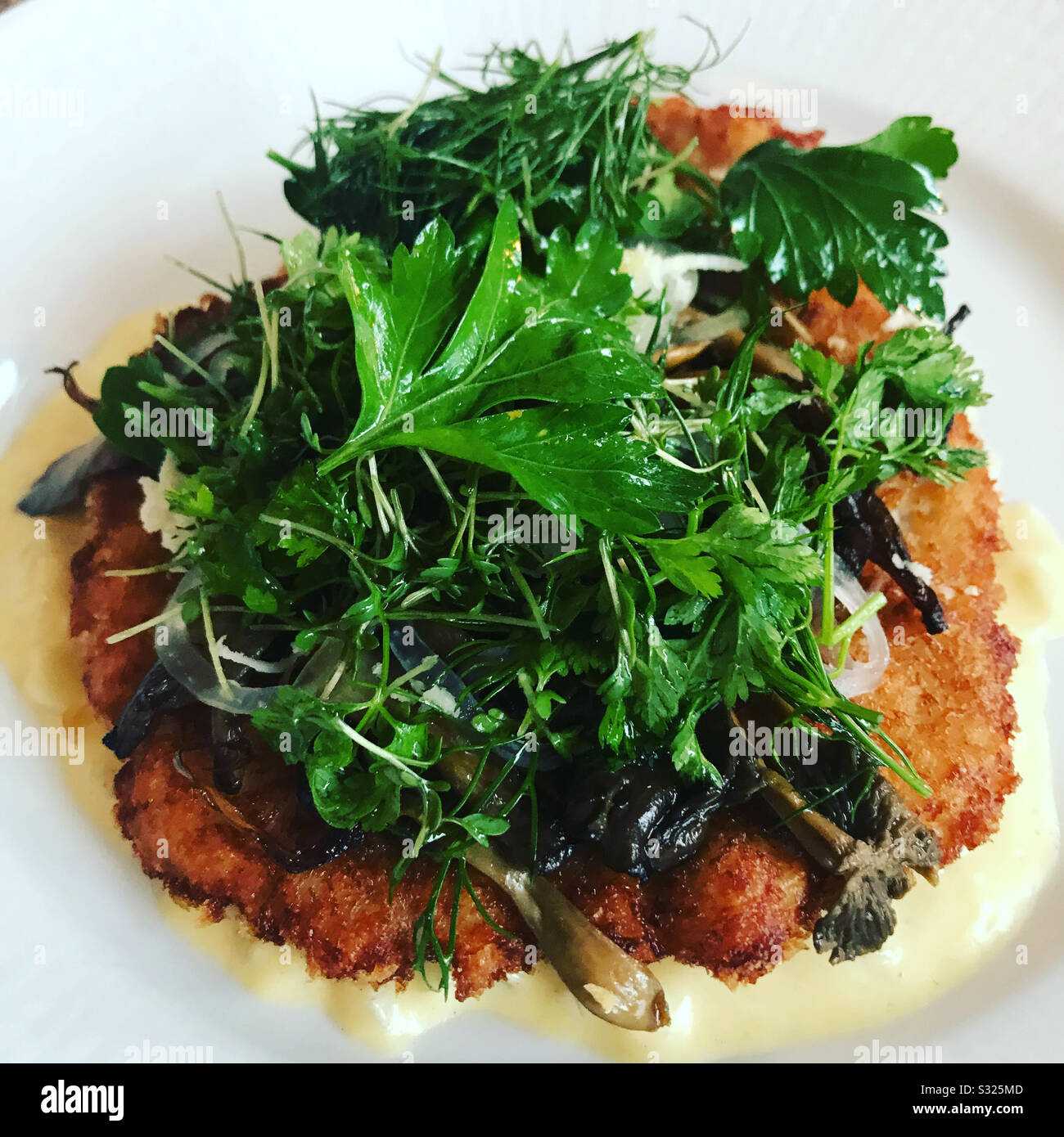 Wiener schnitzel immagini e fotografie stock ad alta risoluzione - Alamy