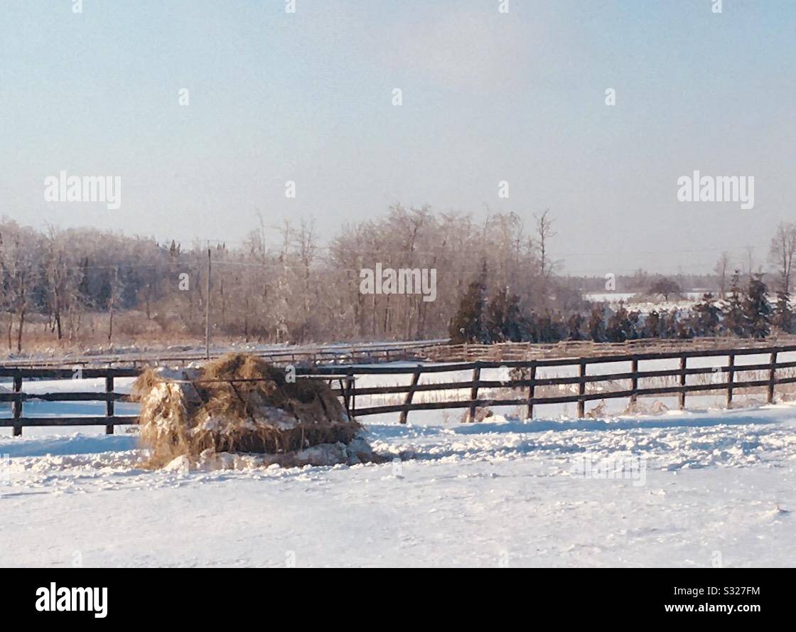 Campi di inverno Foto Stock