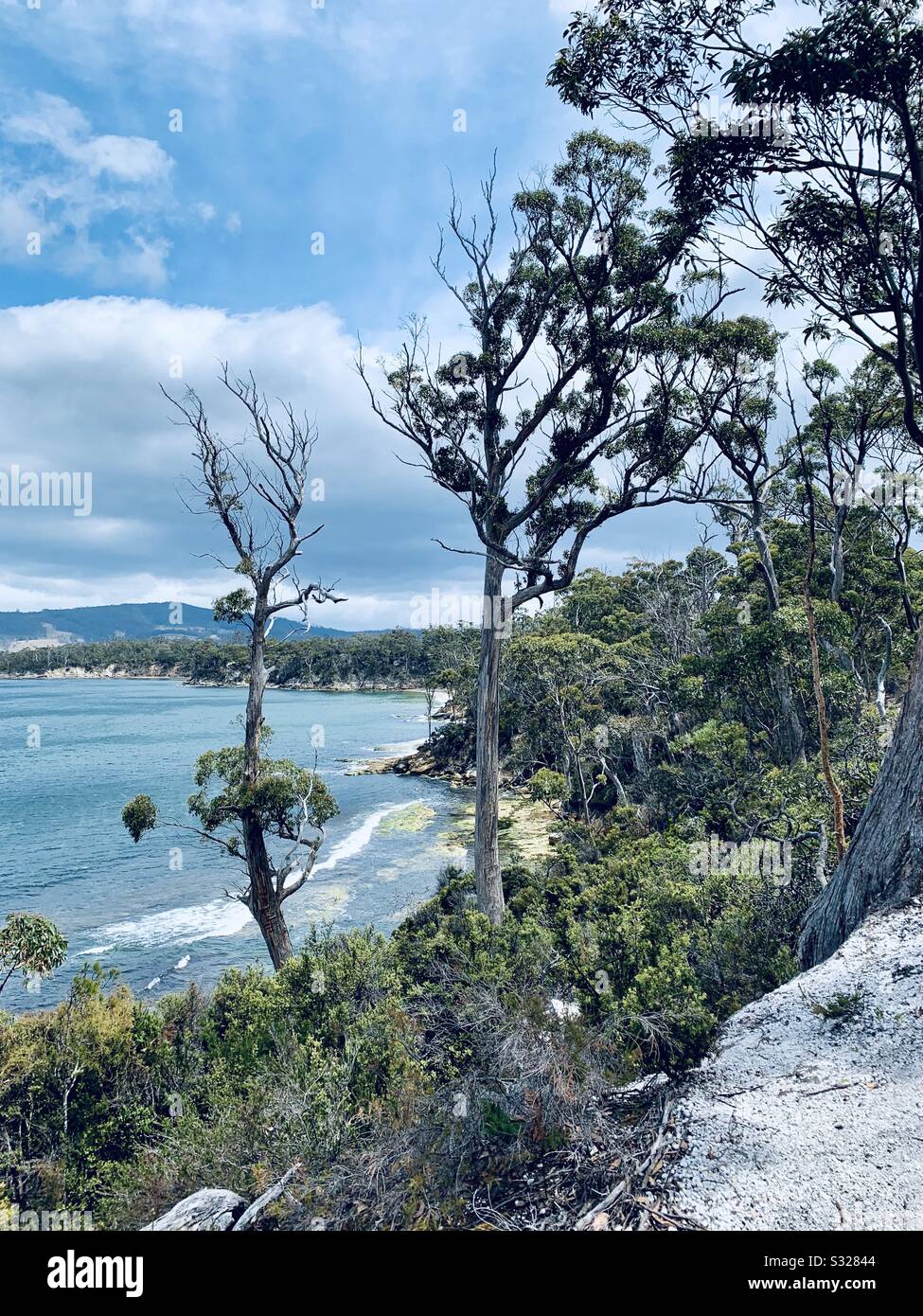 Costa Frastagliata A Garden Islands Creek, Tasmania, Australia Foto Stock