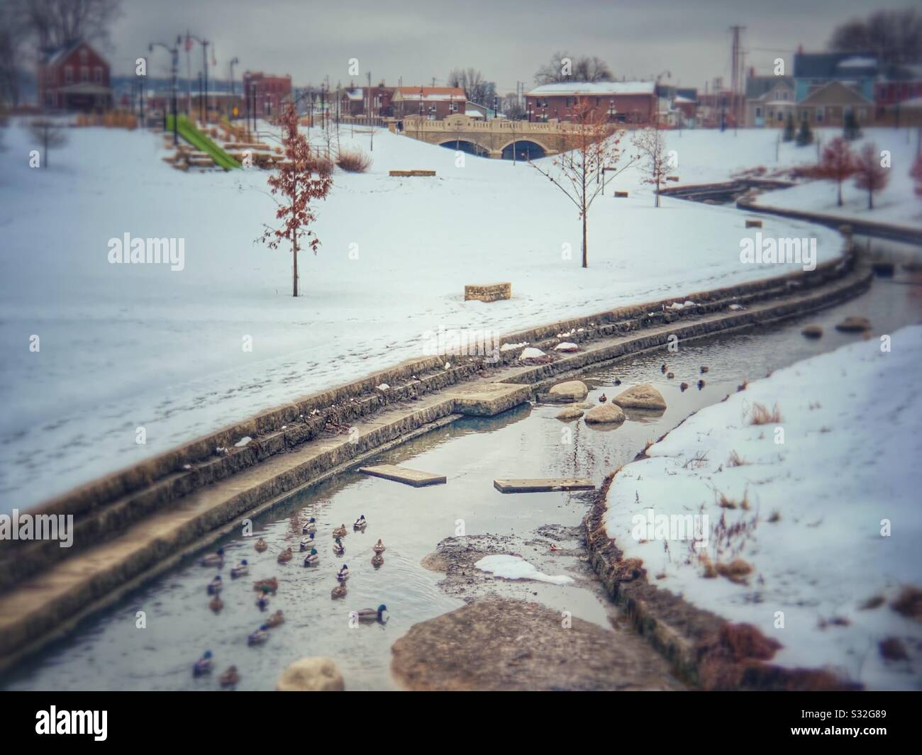 Dubuque, IOWA, 01/25/20–Foto paesaggistica di anatre che nuotano in spartiacque/insenature con pareti calcaree in un'area spartiacque locale dopo una recente nevicata in una giornata invernale. Foto Stock