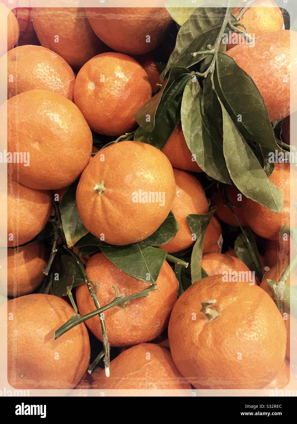 Clementine per la vendita nella corsia di produzione di un negozio di alimentari negli Stati Uniti - Immagine stock catturata con smartphone