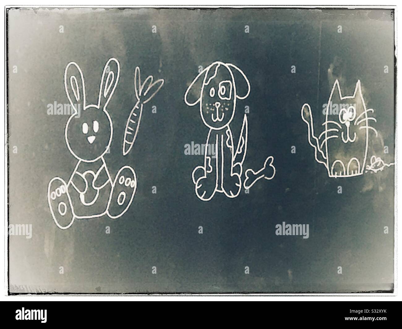 Carino coniglietto, cane e taglio - Animali disegnati su una tavola nera Foto Stock