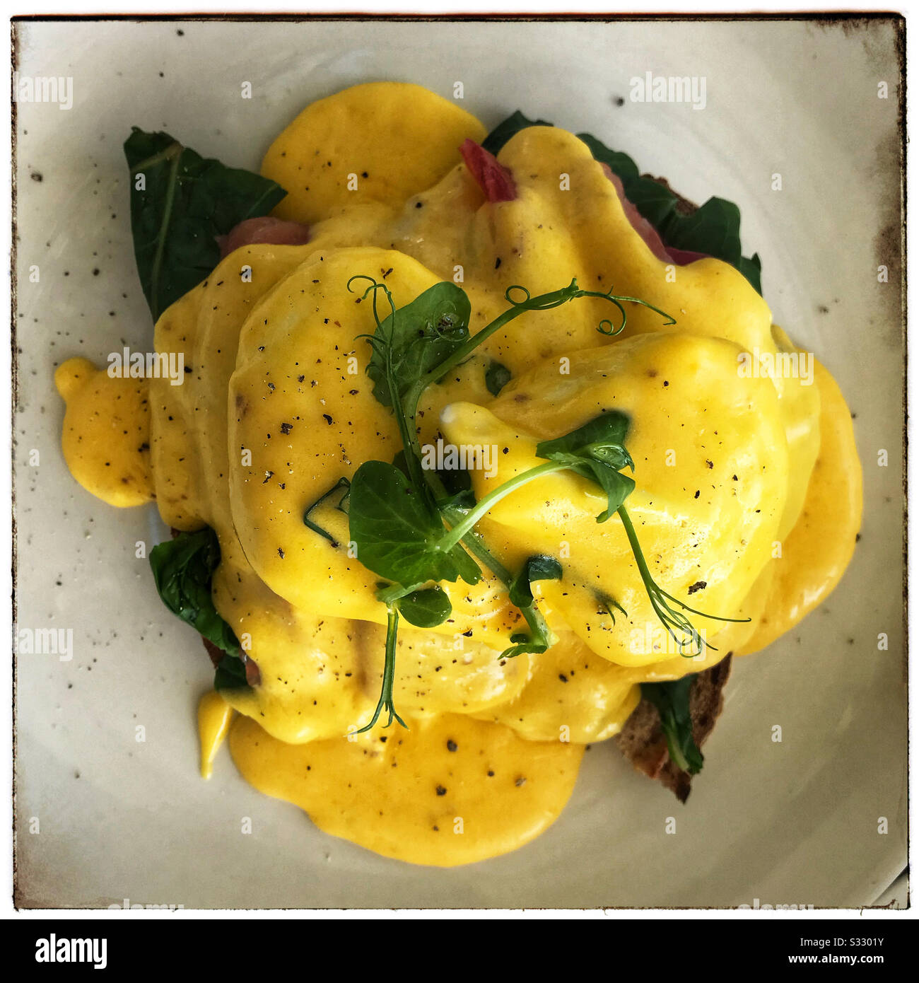 Colazione Presso Jordan Estate, Stellenbosch, Cape Winelands, Sudafrica. - Immagine stock catturata con smartphone
