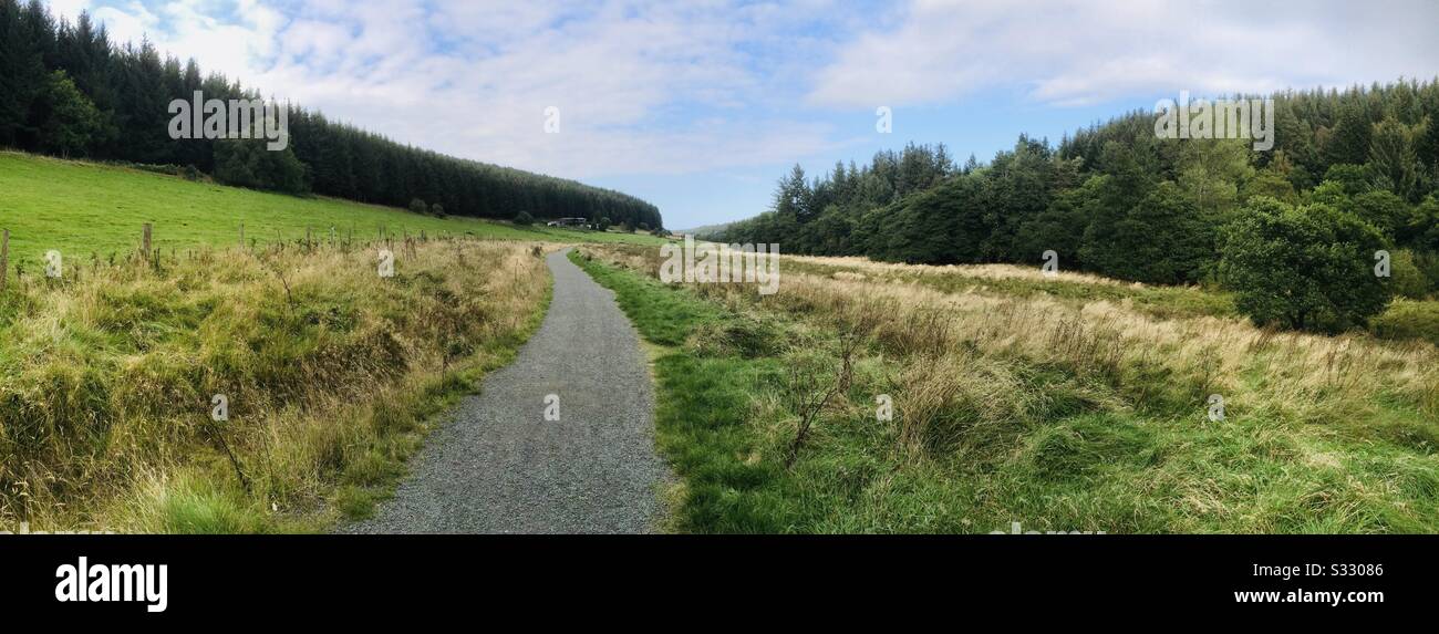 Sentiero Di Campagna Foto Stock